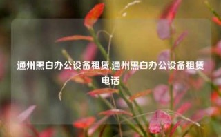 通州黑白办公设备租赁,通州黑白办公设备租赁电话