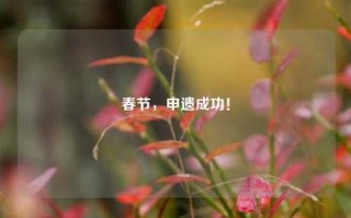 春节，申遗成功！