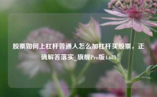 股票如何上杠杆普通人怎么加杠杆买股票，正确解答落实_旗舰Pro版4.681