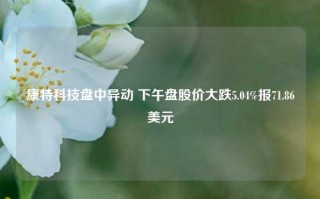 康特科技盘中异动 下午盘股价大跌5.04%报71.86美元