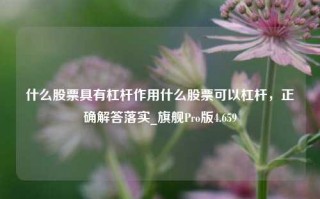 什么股票具有杠杆作用什么股票可以杠杆，正确解答落实_旗舰Pro版4.659