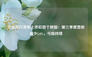 文远知行发布上市后首个财报：第三季度营收减少5.6%，亏损持续