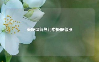 美股盘前热门中概股普涨