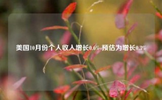 美国10月份个人收入增长0.6% 预估为增长0.3%