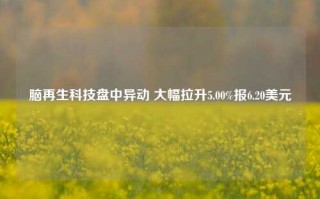 脑再生科技盘中异动 大幅拉升5.00%报6.20美元