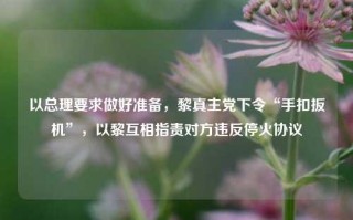 以总理要求做好准备，黎真主党下令“手扣扳机”，以黎互相指责对方违反停火协议