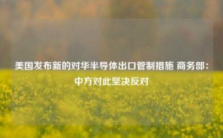 美国发布新的对华半导体出口管制措施 商务部：中方对此坚决反对