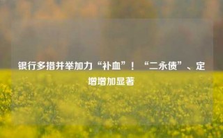 银行多措并举加力“补血”！“二永债”、定增增加显著