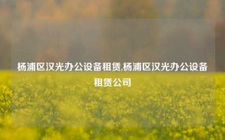 杨浦区汉光办公设备租赁,杨浦区汉光办公设备租赁公司