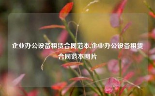 企业办公设备租赁合同范本,企业办公设备租赁合同范本图片