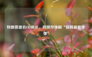 特朗普提名FBI局长，向现存体制“投掷最新炸弹”