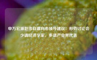 申万宏源赵伟自曝向市领导建议：形势讨论会少请经济学家，多请产业界代表