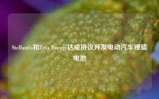 Stellantis和Zeta Energy达成协议开发电动汽车锂硫电池