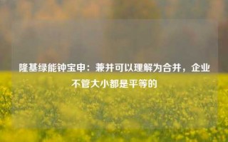 隆基绿能钟宝申：兼并可以理解为合并，企业不管大小都是平等的