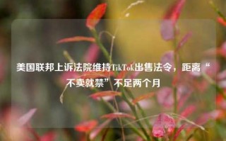 美国联邦上诉法院维持TikTok出售法令，距离“不卖就禁”不足两个月