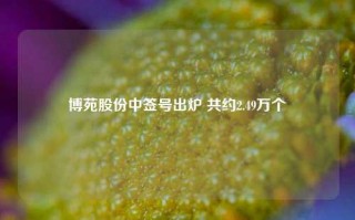 博苑股份中签号出炉 共约2.49万个