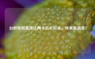 台积电和英伟达两大芯片巨头，传来新消息！