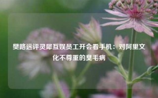 樊路远评灵犀互娱员工开会看手机：对阿里文化不尊重的臭毛病