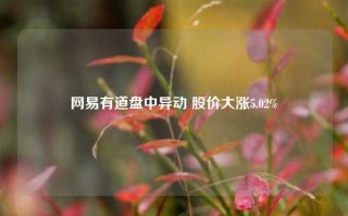 网易有道盘中异动 股价大涨5.02%