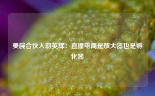 美腕合伙人蔚英辉：直播电商是放大器也是孵化器