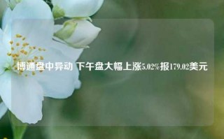 博通盘中异动 下午盘大幅上涨5.02%报179.02美元