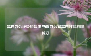 黑白办公设备租赁供应商,办公室黑白打印机哪种好