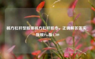 杨方杠杆型股票杨方杠杆股市，正确解答落实_旗舰Pro版4.709