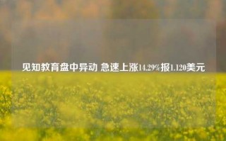 见知教育盘中异动 急速上涨14.29%报1.120美元