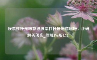 股票杠杆是啥意思股票杠杆是啥意思呀，正确解答落实_旗舰Pro版4.721