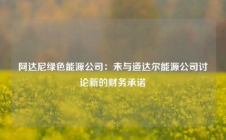 阿达尼绿色能源公司：未与道达尔能源公司讨论新的财务承诺