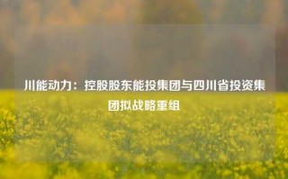 川能动力：控股股东能投集团与四川省投资集团拟战略重组