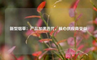 新型烟草：产品加速迭代，核心供应商受益