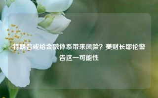 特朗普或给金融体系带来风险？美财长耶伦警告这一可能性