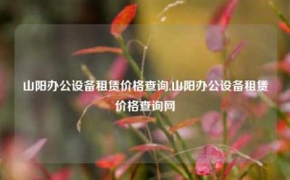 山阳办公设备租赁价格查询,山阳办公设备租赁价格查询网