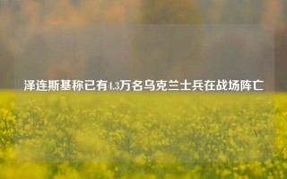 泽连斯基称已有4.3万名乌克兰士兵在战场阵亡