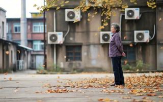 董明珠没能复制30年前的自己