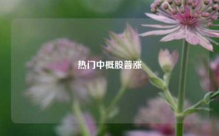 热门中概股普涨