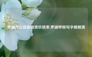 罗湖办公设备租赁价格表,罗湖甲级写字楼租赁