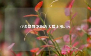 CF金融盘中异动 大幅上涨5.10%