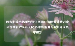 周末影响市场重要资讯回顾：特朗普威胁对金砖国家征收100%关税 多家新能源车企11月成绩单出炉