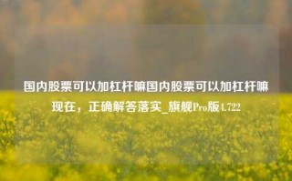 国内股票可以加杠杆嘛国内股票可以加杠杆嘛现在，正确解答落实_旗舰Pro版4.722