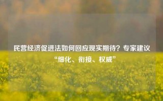 民营经济促进法如何回应现实期待？专家建议“细化、衔接、权威”