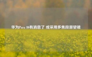 华为Pura 80有消息了 或采用多焦段潜望镜