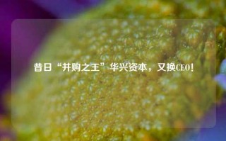 昔日“并购之王”华兴资本，又换CEO！