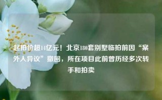 起拍价超14亿元！北京180套别墅临拍前因“案外人异议”撤回，所在项目此前曾历经多次转手和拍卖