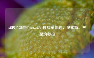 AI芯片新贵Tenstorrent挑战英伟达，贝索斯、三星均参投