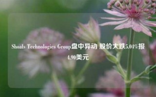 Shoals Technologies Group盘中异动 股价大跌5.04%报4.90美元