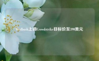 Wedbush上调Crowdstrike目标价至390美元