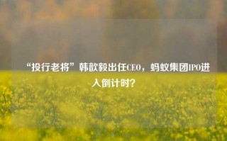 “投行老将”韩歆毅出任CEO，蚂蚁集团IPO进入倒计时？