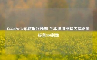 CrowdStrikeQ3财报超预期 今年股价涨幅大幅跑赢标普500指数